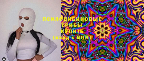 меф Горняк