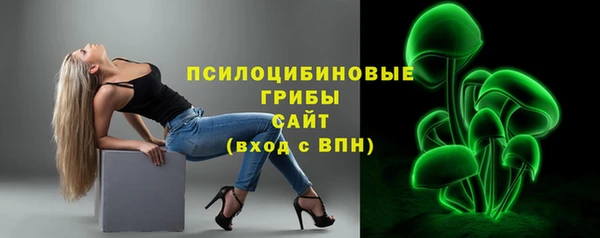 меф Горняк