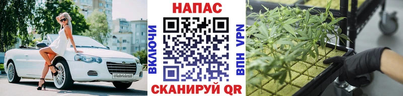 Купить  Салехард  Марихуана планчик 